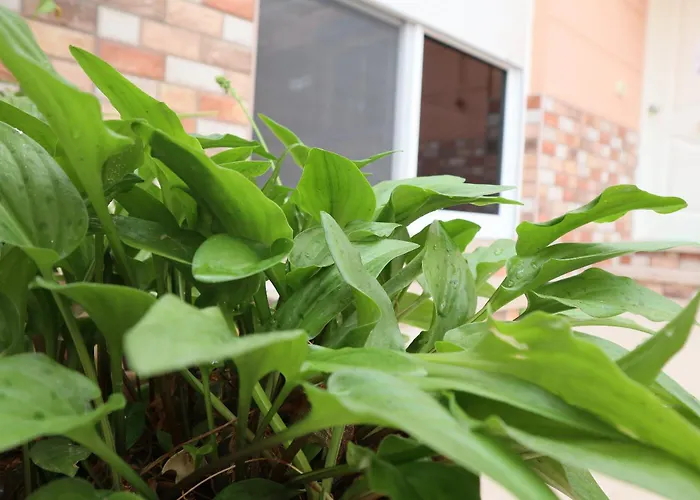 Happy Room Granadilla De Abona foto