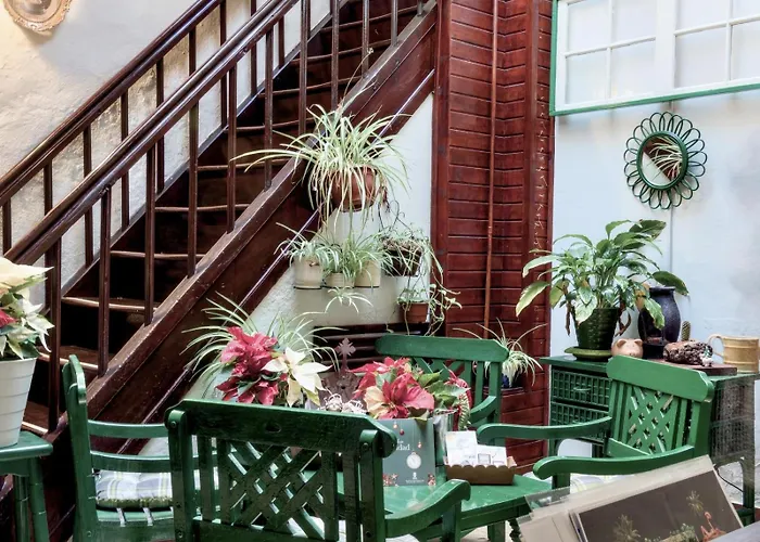 Aloe Apartament 2 Plus 1 Gratis W Casa Verde De Guia Santa Maria de Guia de Gran Canaria képek