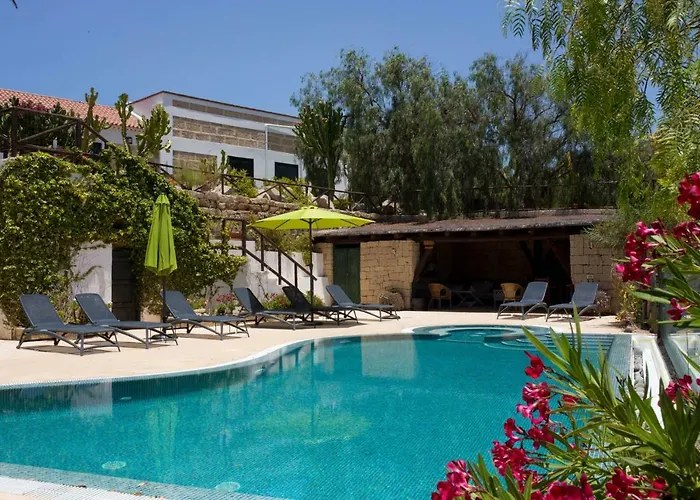 La Malvasia Arico Viejo fotorgafie